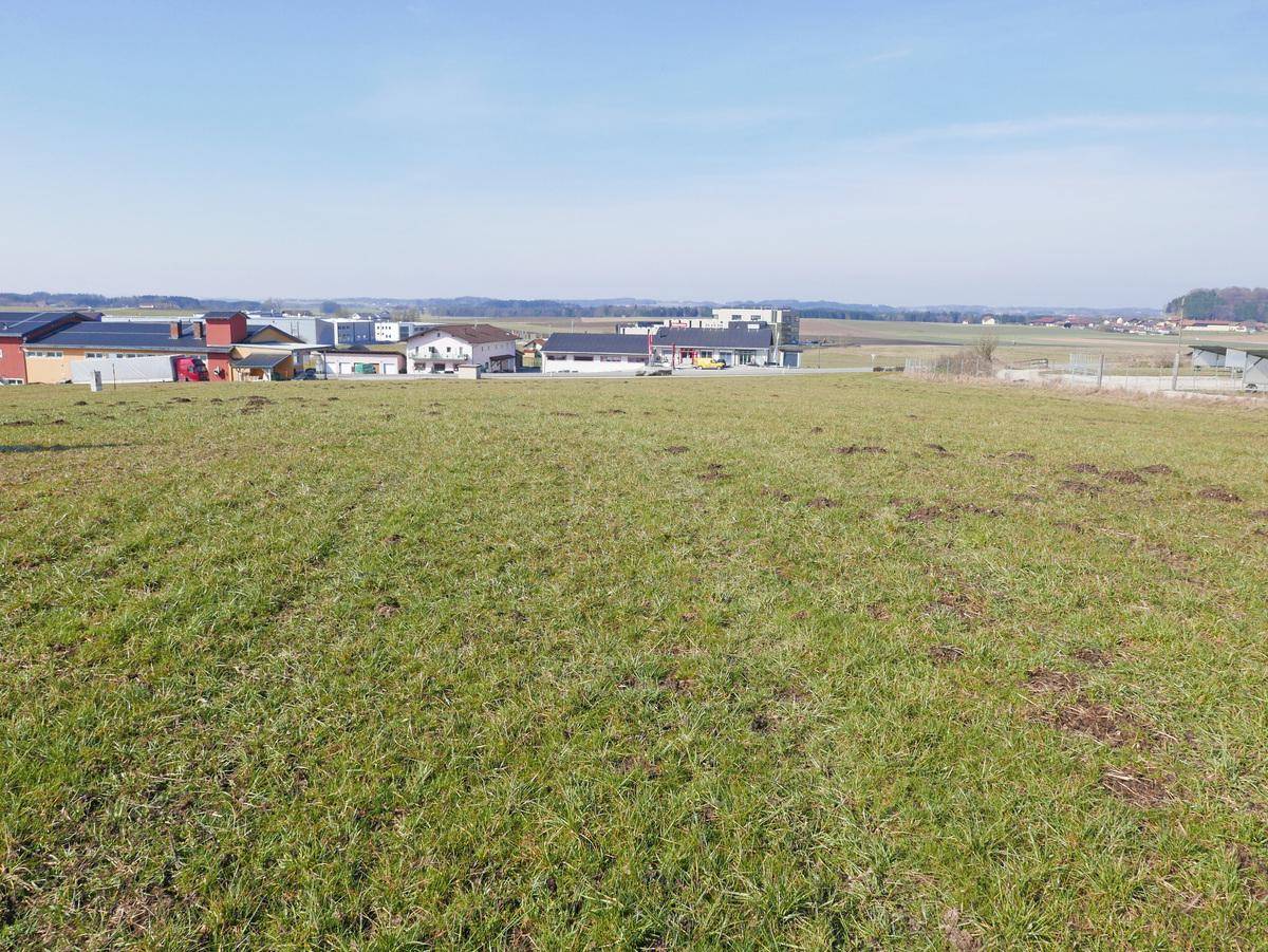 Offenes Feld mit grüner Wiese und einigen Gebäuden in der Ferne unter einem klaren, weiten Himmel.