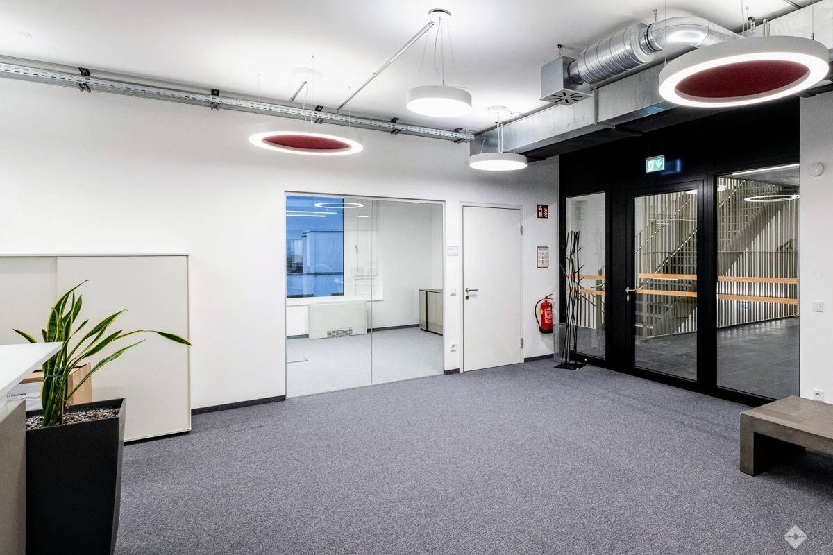 Heller Flurbereich mit grauem Teppichboden, modernen Deckenleuchten und Büroräumen mit Glaswänden.