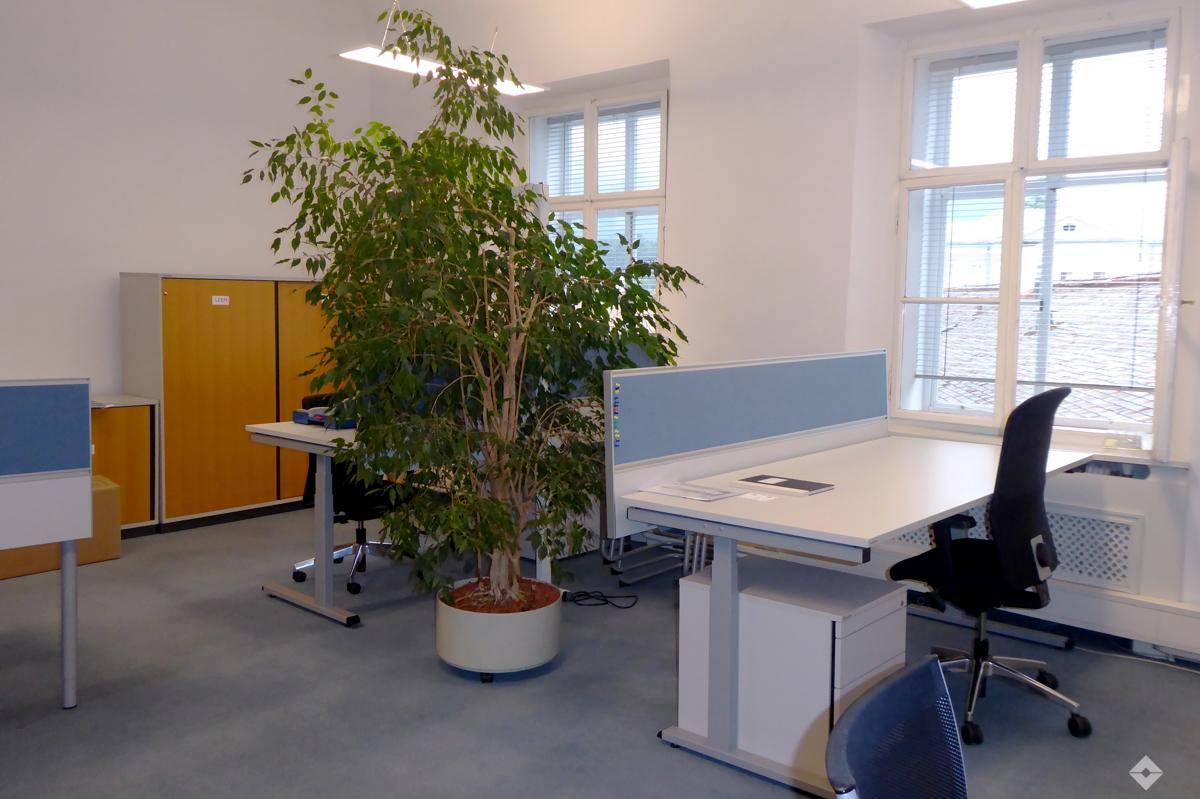 hoelzl hubner immobilien