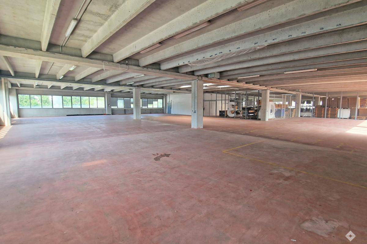 hoelzlhubnerimmo2025-halle