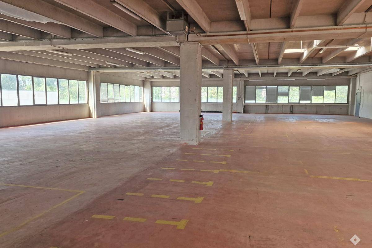 hoelzlhubnerimmo2025-halle