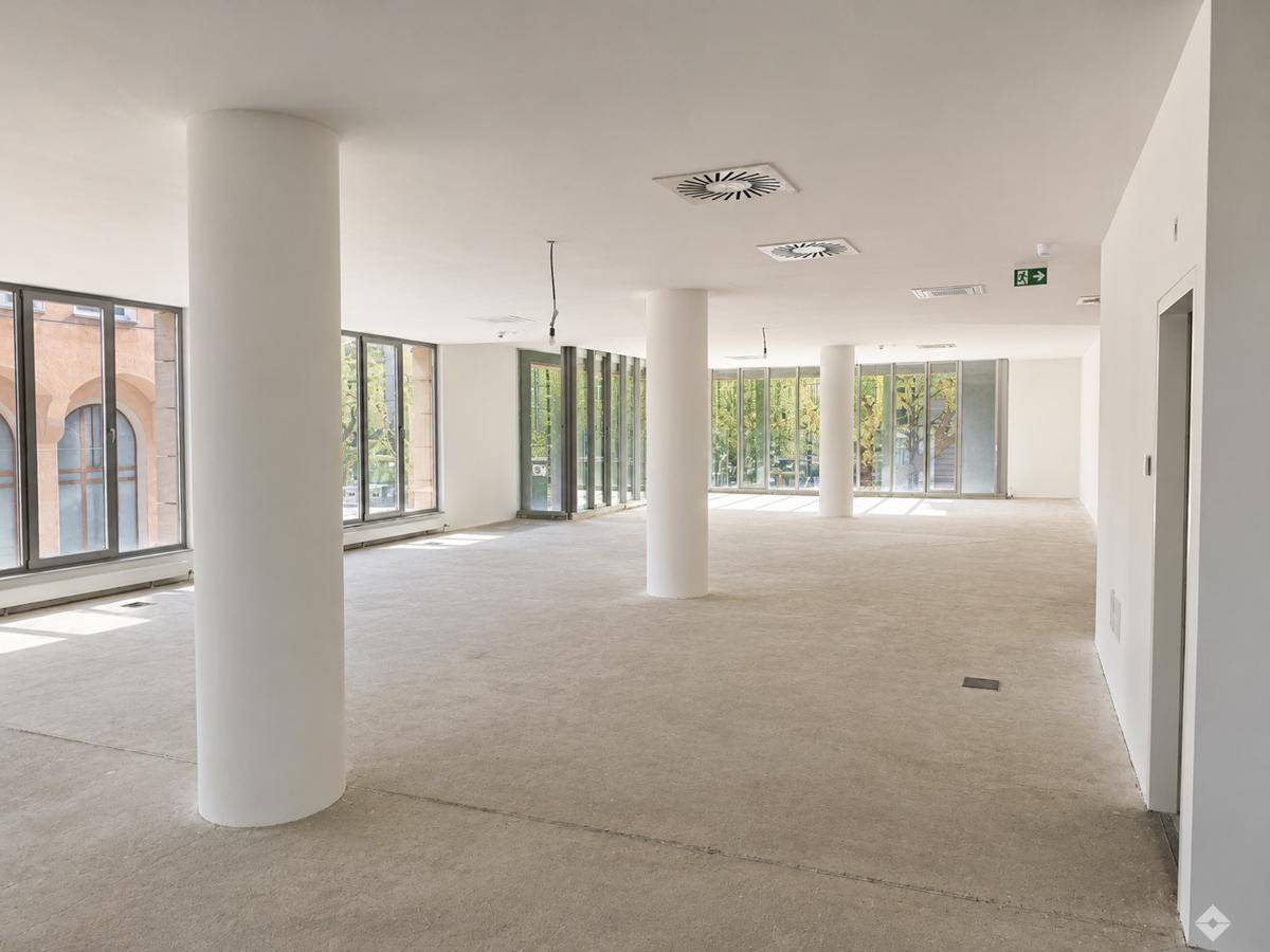 Geräumige Bürofläche mit Säulen, großen Fenstern und einem hellen Betonboden.