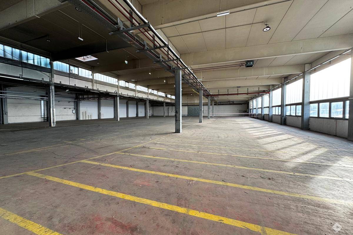 Große, leere Lagerhalle mit Betonboden, gelben Markierungen und hohen Fenstern, die viel Licht spenden.