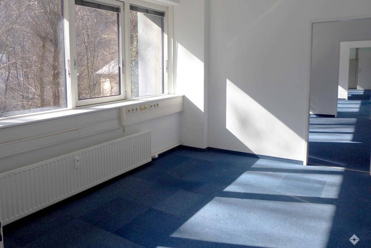 Sonniger Büroraum mit blauem Teppichboden und großen Fenstern, die viel Tageslicht hereinlassen.
