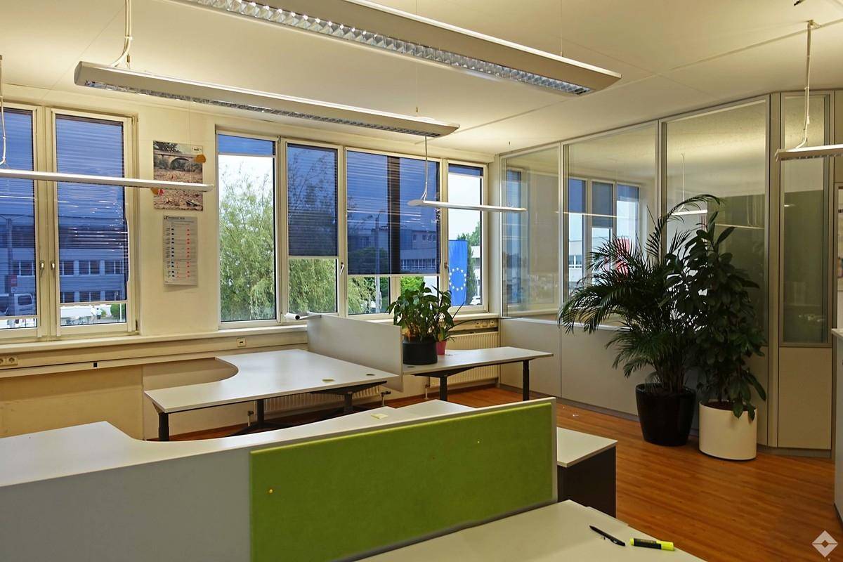 hoelzl hubner immobilien grosszuegiges buero