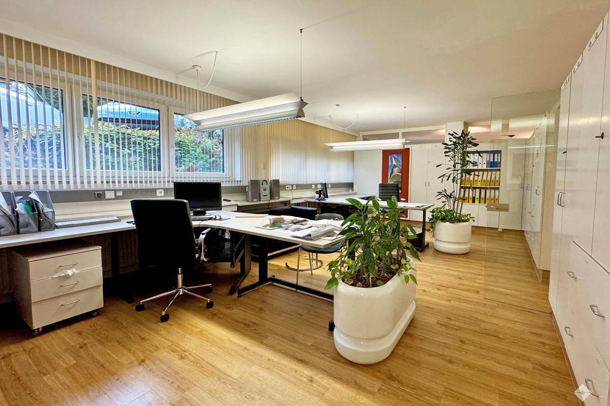 Großes Büro mit mehreren Arbeitsplätzen, hellen Schränken und grünen Pflanzen für eine angenehme Arbeitsatmosphäre.