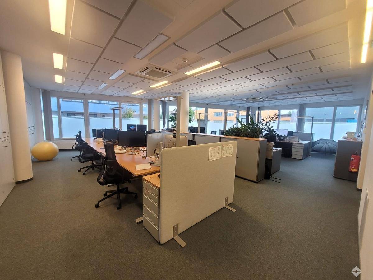 Geräumiges und helles Großraumbüro mit modernen Arbeitsplätzen und guter Beleuchtung durch große Fenster.