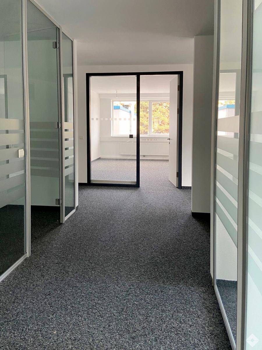 Flur in einem Bürogebäude mit Teppichboden und Glastüren, die zu einzelnen Büros führen.