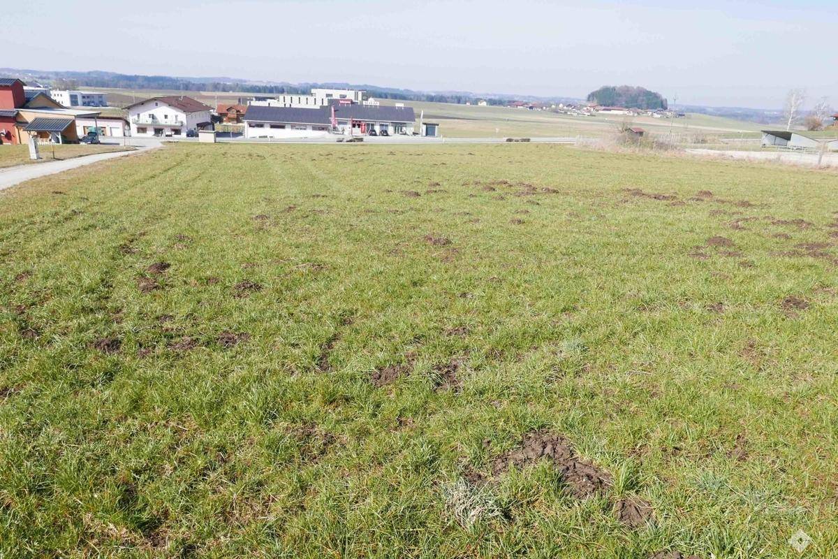Weitläufige Grünfläche mit einem Feldweg und Gebäuden am Horizont unter einem hellen Himmel.