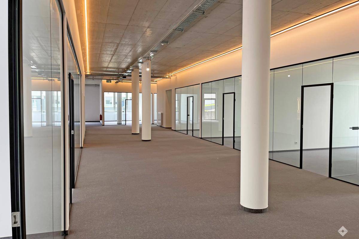 Helles und modernes Büro mit Glasabtrennungen, Teppichboden und hohen Decken.