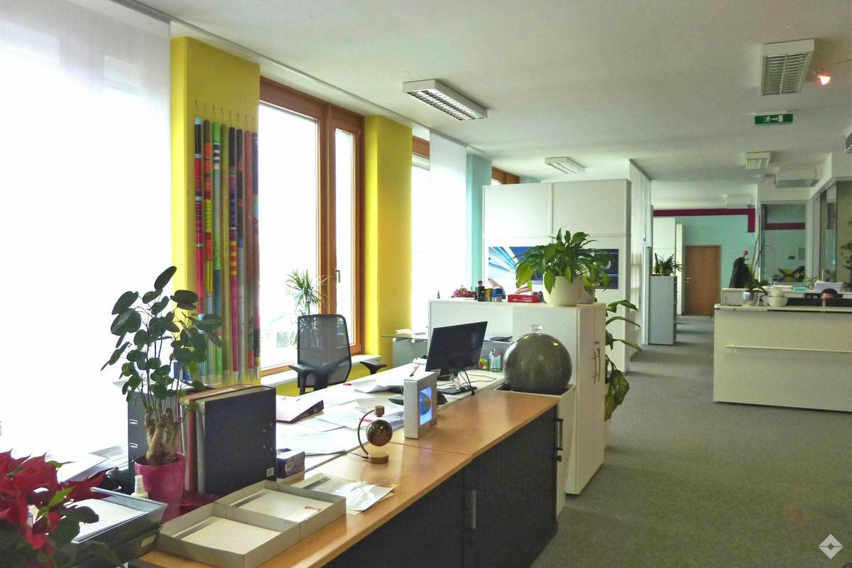 Großes, offenes Büro mit vielen Fenstern, Teppichboden und farbigen Wänden.