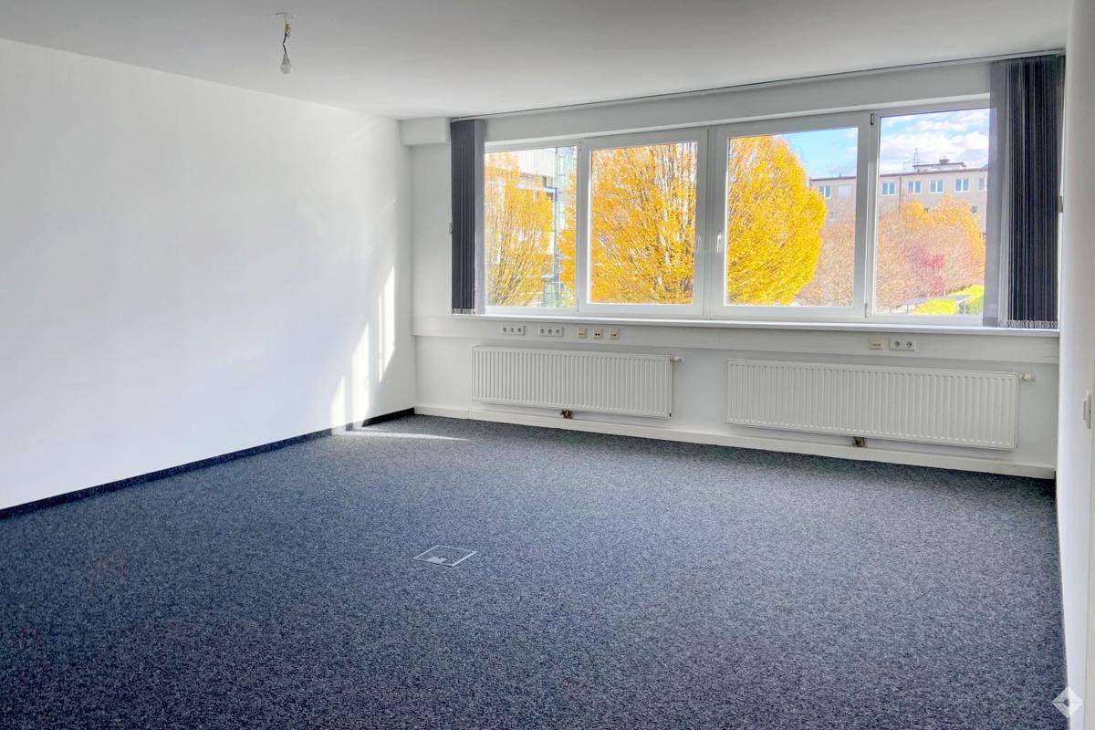 Geräumiges Büro mit Teppichboden, großen Fenstern und Blick auf herbstliche Bäume.