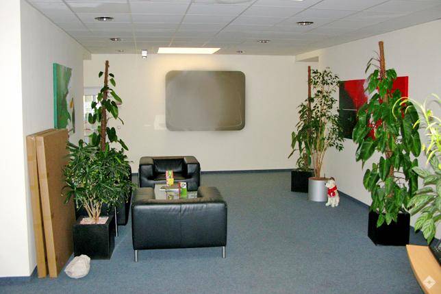 Gemütlicher Loungebereich mit schwarzen Ledersesseln, Pflanzen und moderner Kunst an den Wänden.