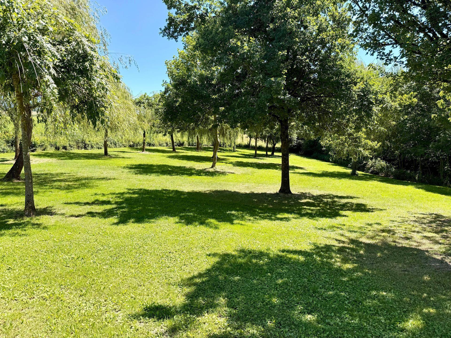 Parkähnliche Anlage mit vielen Bäumen und gepflegtem Rasen, die Schatten unter blauem Himmel werfen.