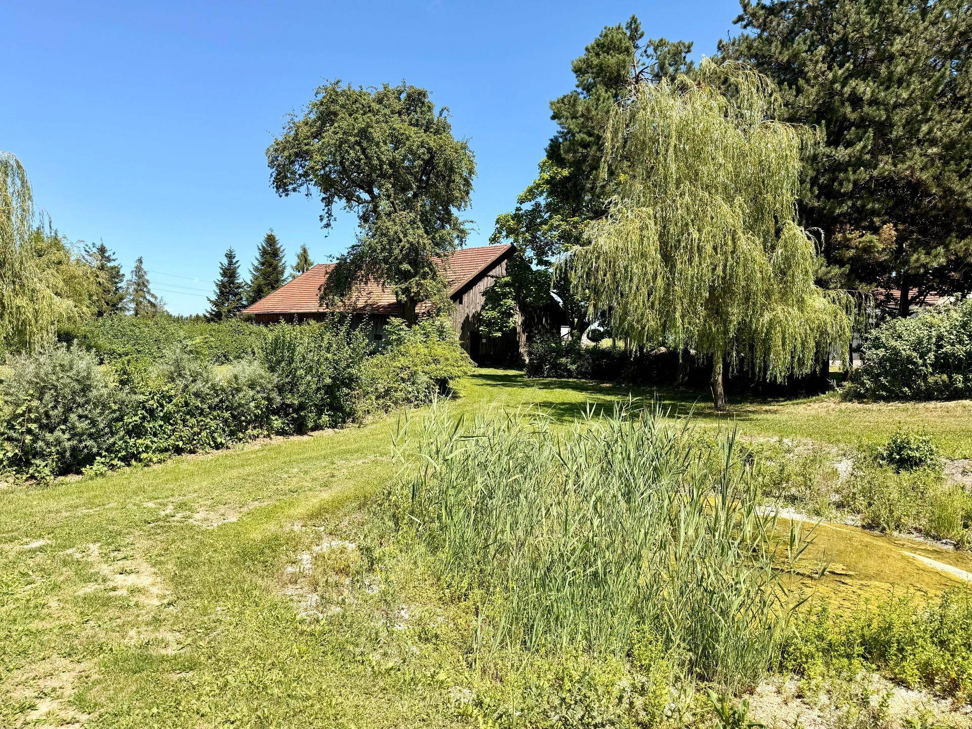Grüner Pfad führt zu einem traditionellen Holzgebäude, umgeben von üppiger Vegetation und Bäumen.
