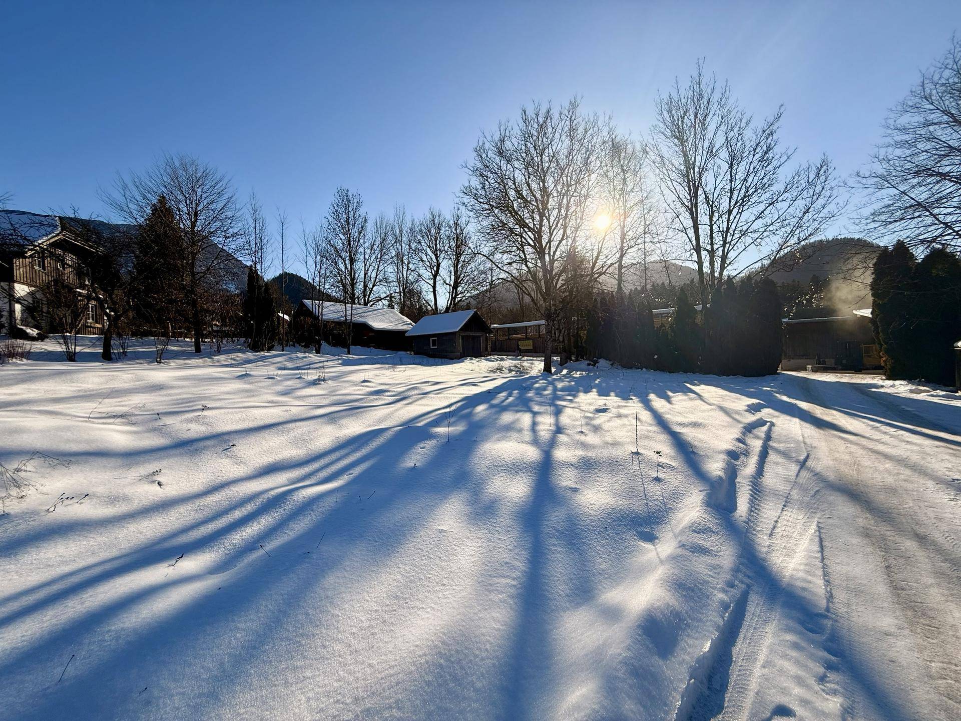 Sonniges, schneebedecktes Grundstück mit langen Schatten von Bäumen und klarem Winterhimmel.