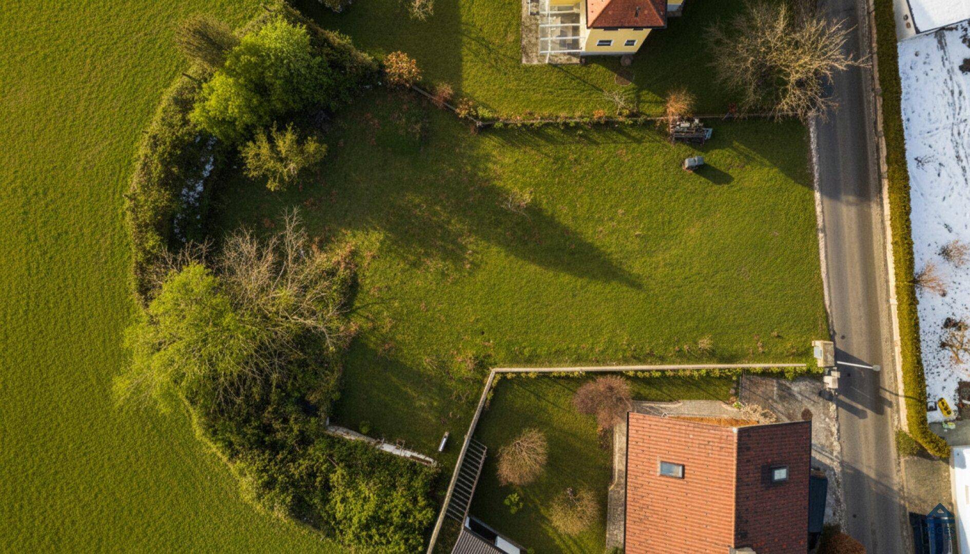 Luftaufnahme eines großen, grünen Grundstücks mit angrenzender Straße und umliegender Vegetation.