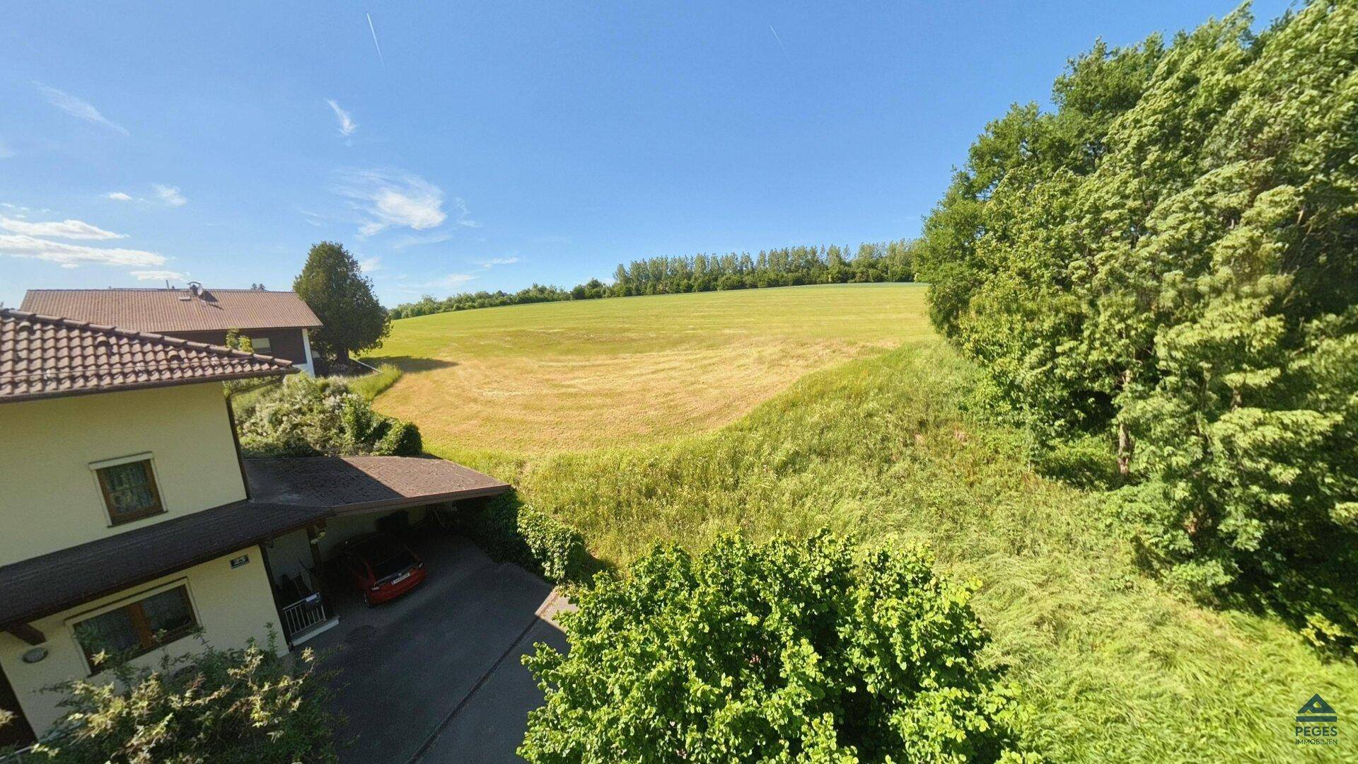 Panoramablick von einem erhöhten Punkt über weite grüne Felder und Bäume unter blauem Himmel.