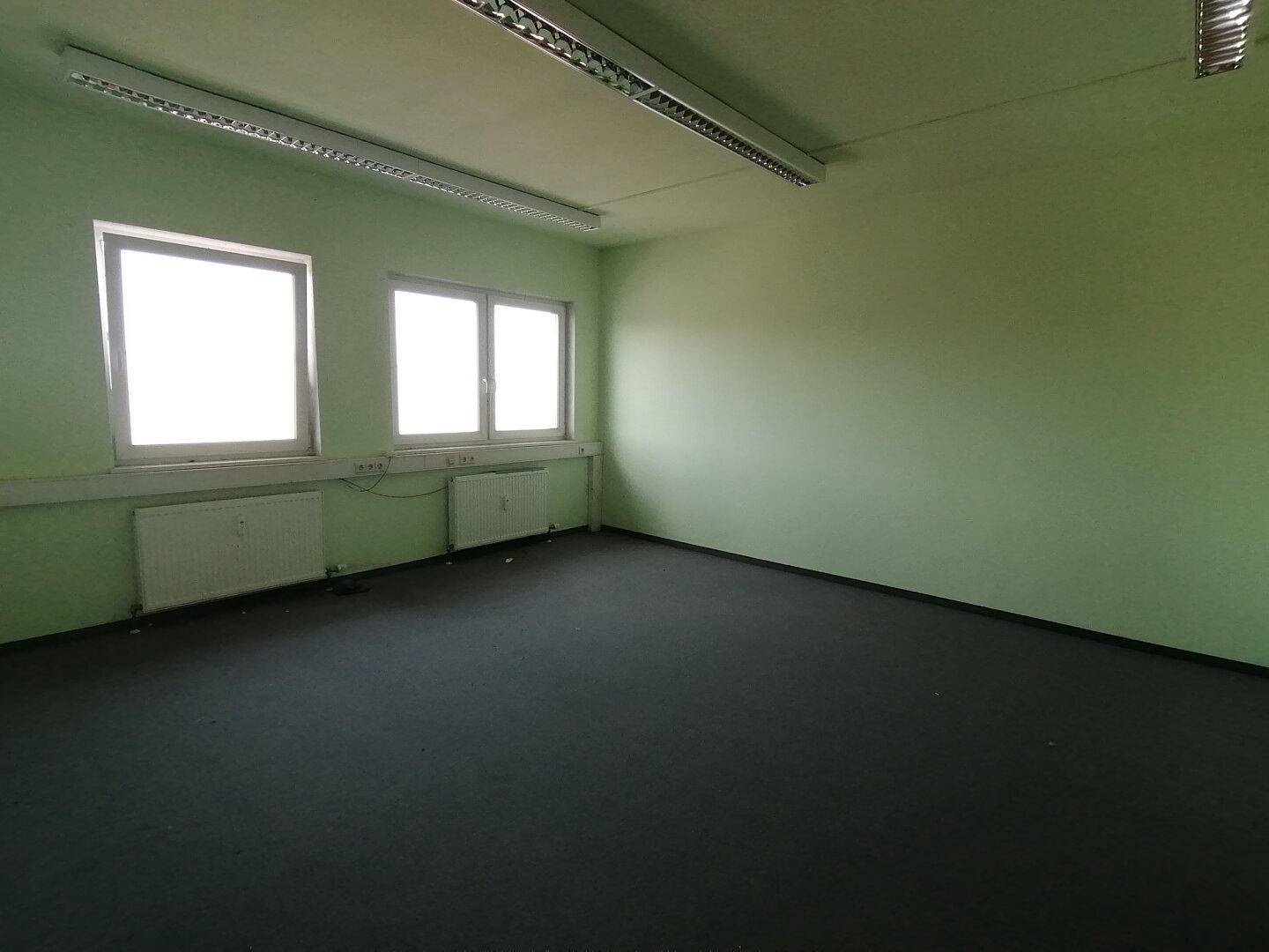 Großes Büro mit grün gestrichenen Wänden, Teppichboden und zwei Fenstern.