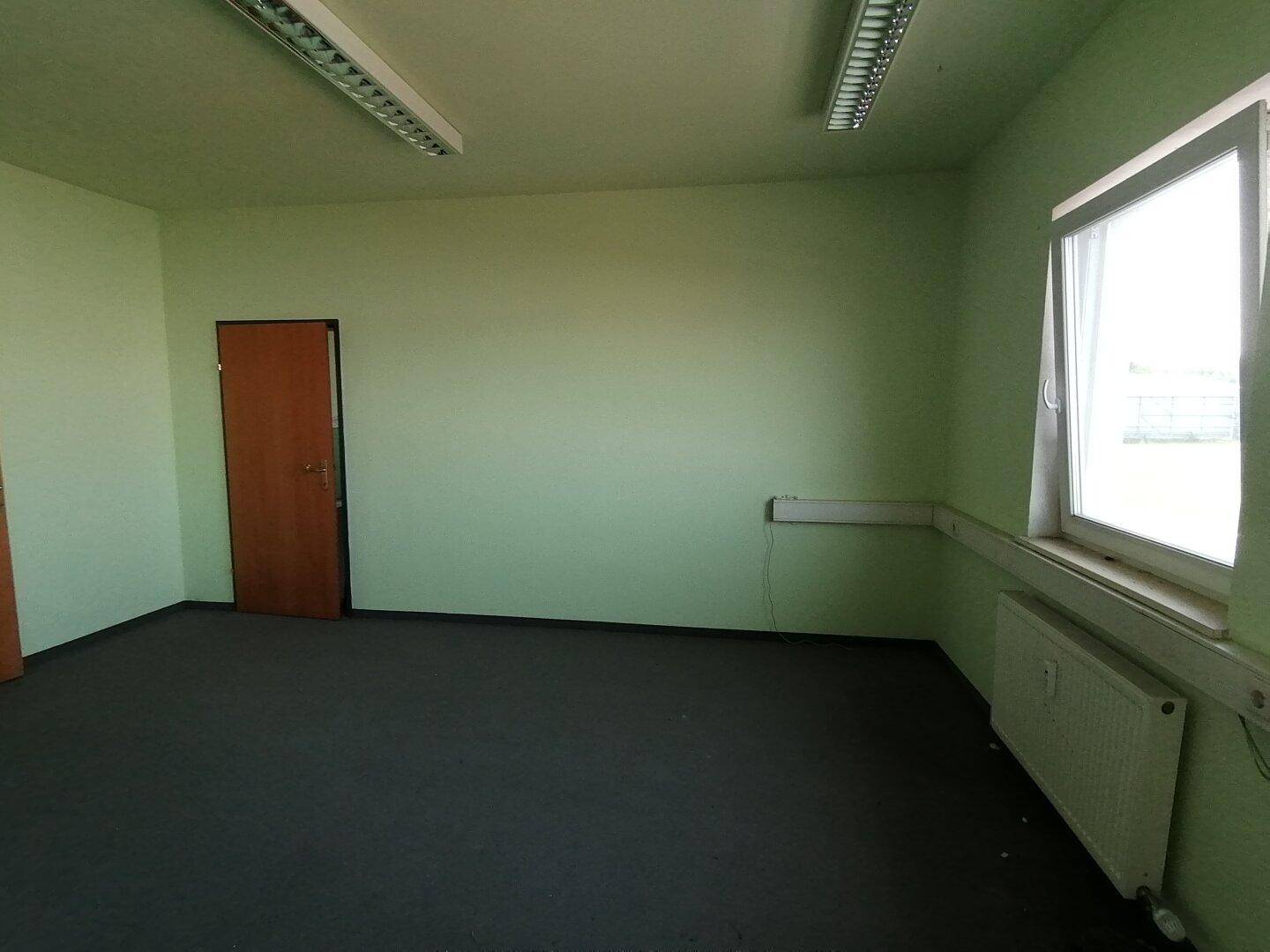 Helles Büro mit grünen Wänden, Teppichboden und einem großen Fenster.