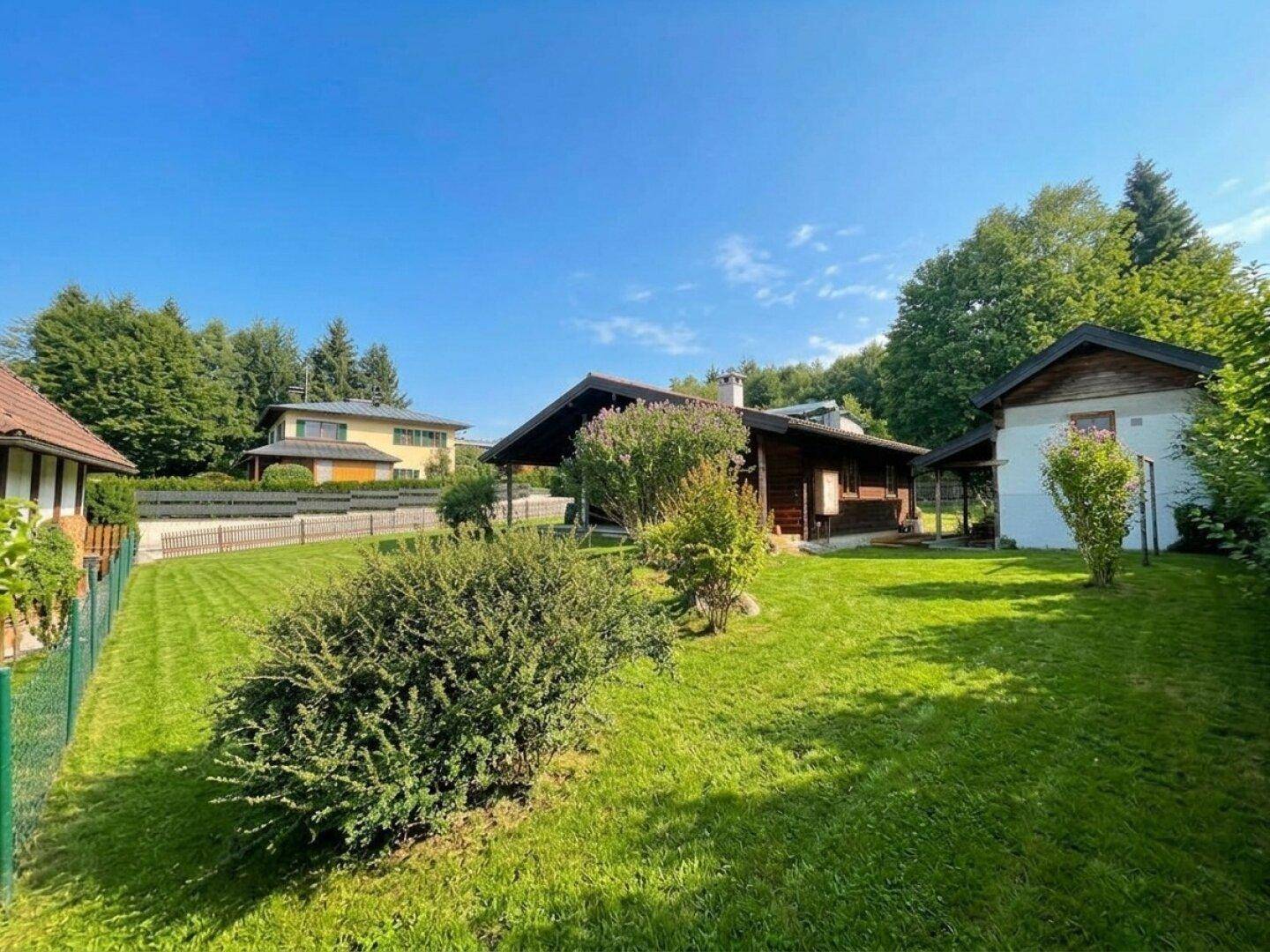 Großer, gepflegter Garten mit Rasenfläche und Sträuchern, umgeben von Bäumen und einem Zaun.
