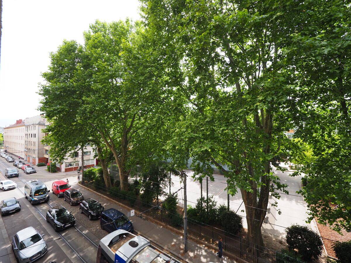 Weitläufiger Blick auf eine belebte Straße mit Straßenbahn, Bäumen und Gebäuden im Hintergrund.