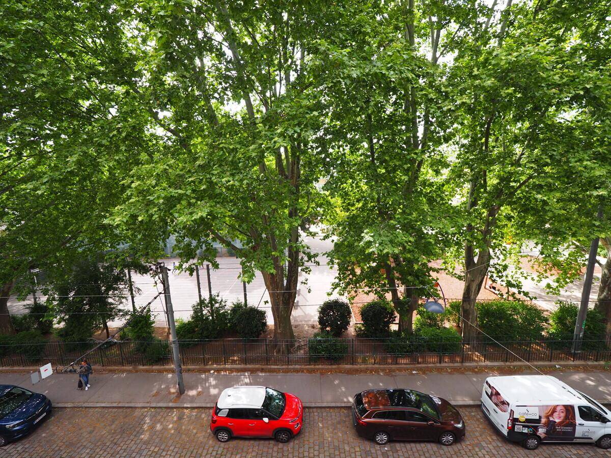 Blick von oben auf eine von Bäumen gesäumte Straße mit parkenden Autos und Grünflächen.