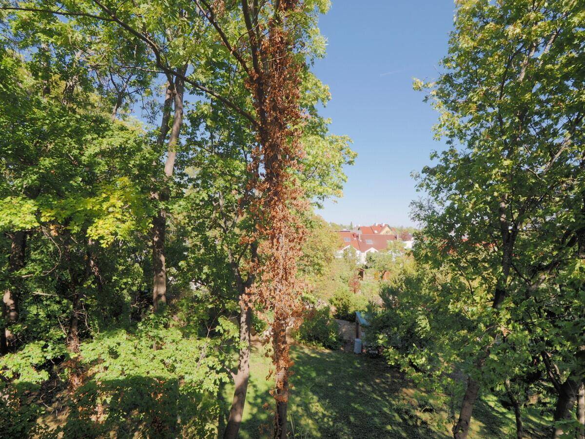 P9300144