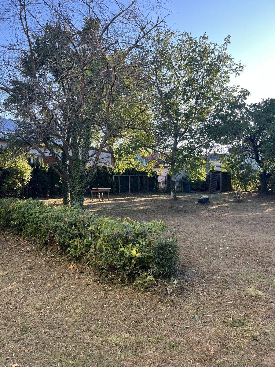 Weitläufiger Garten mit altem Baumbestand und Hecken im Sonnenlicht, bietet viel Privatsphäre.