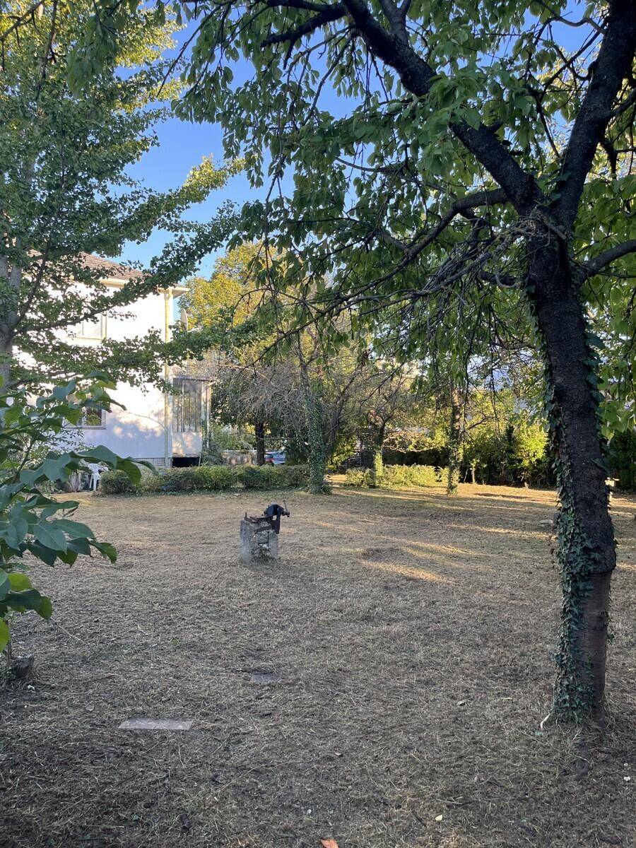 Ruhiger Gartenbereich mit weitläufigem Rasen und schattenspendenden Bäumen, ideal zum Entspannen.
