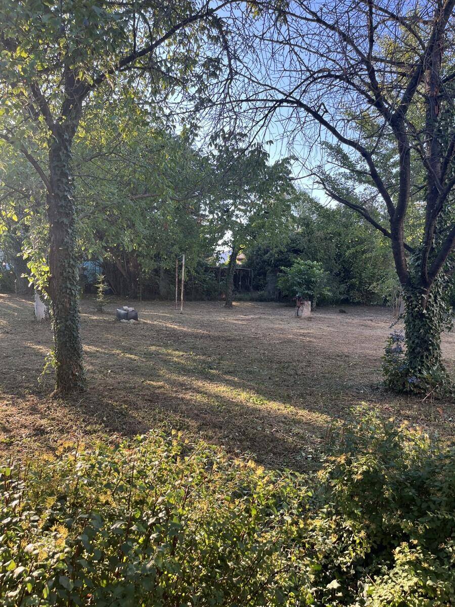 Naturbelassener Garten mit dichtem Baumbestand und üppigen Büschen, bietet viel Grün.