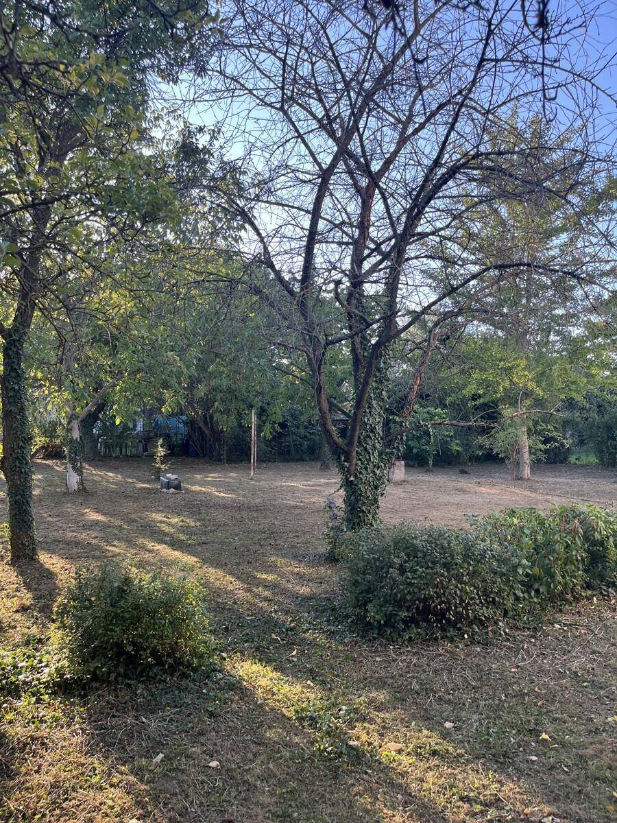 Idyllischer Garten mit verschiedenen Bäumen und sonnigen Grasflächen, perfekt für Outdoor-Aktivitäten.