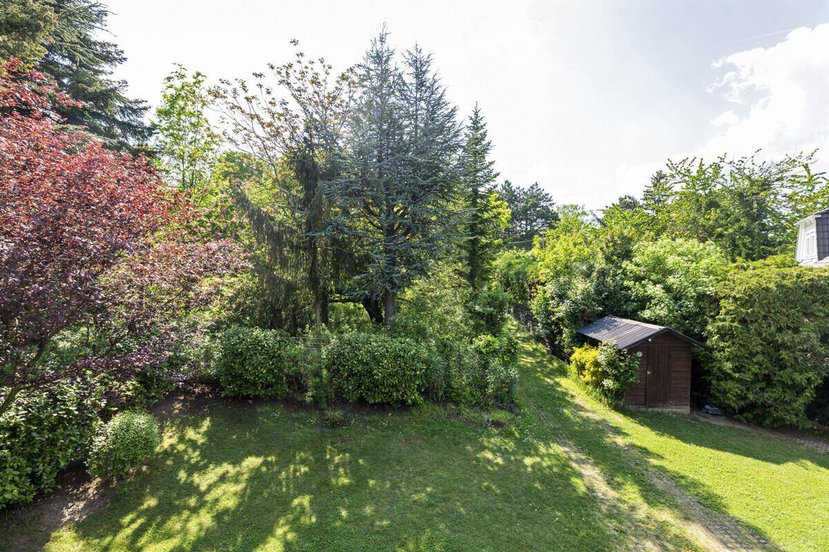 Gepflegter Gartenbereich mit üppiger Vegetation, hohen Bäumen und einem kleinen Geräteschuppen.