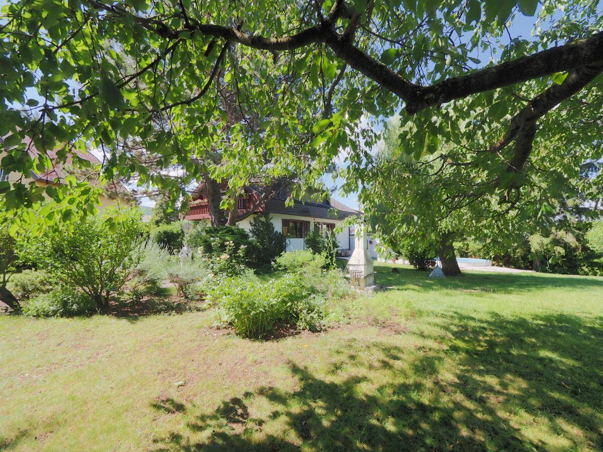 Großer, gepflegter Garten mit Rasenfläche, Bäumen und Blick auf das Haus.