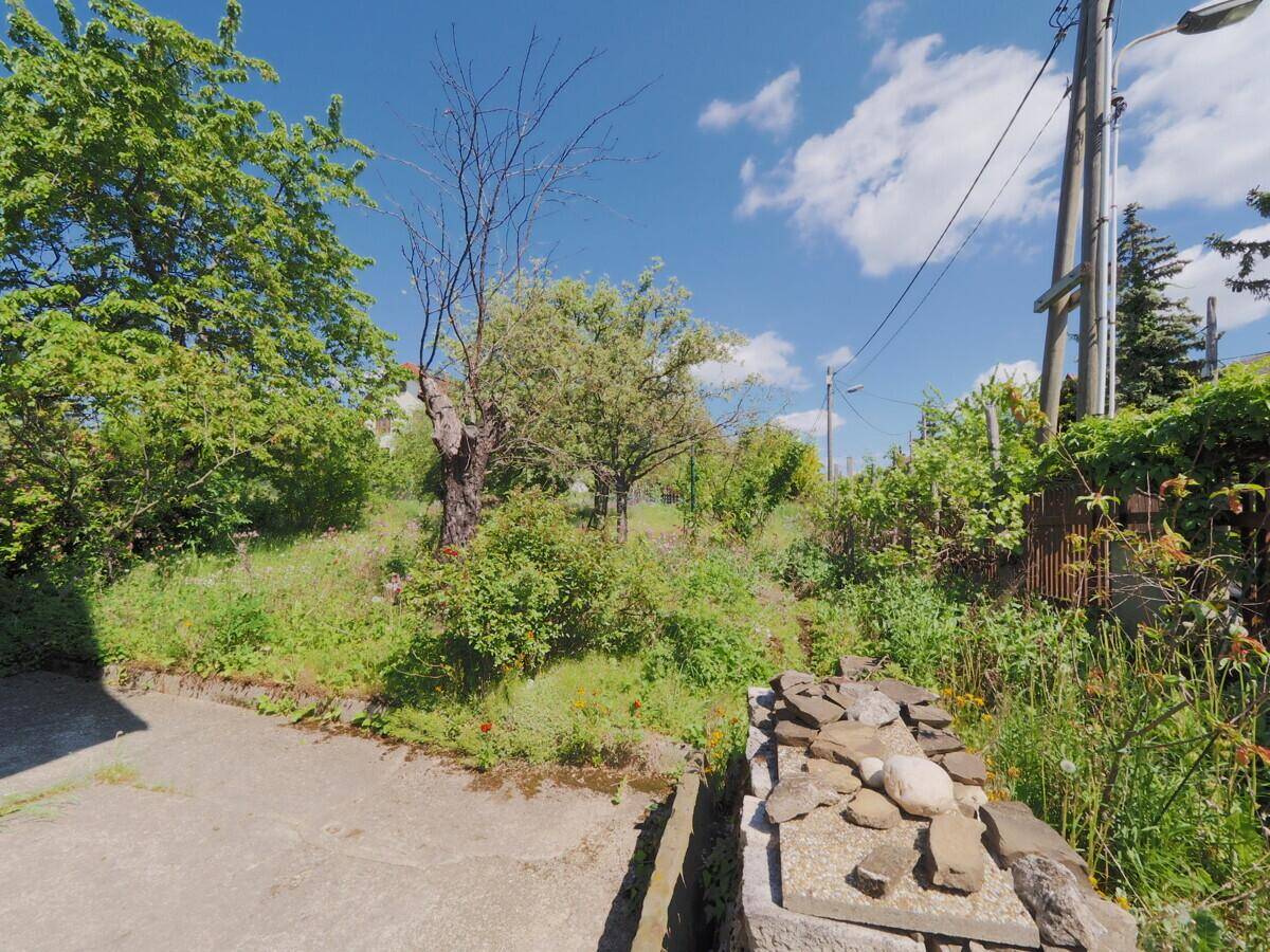 Gartenbereich mit einer Steinmauer im Vordergrund und üppiger grüner Vegetation unter blauem Himmel.