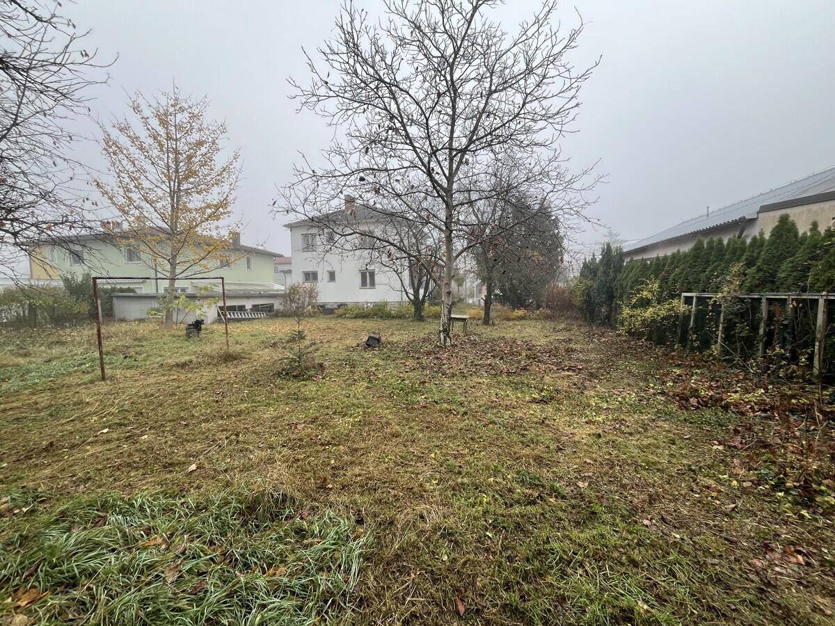 Weitläufiger Gartenbereich mit Bäumen und Sträuchern, der naturbelassen wirkt.