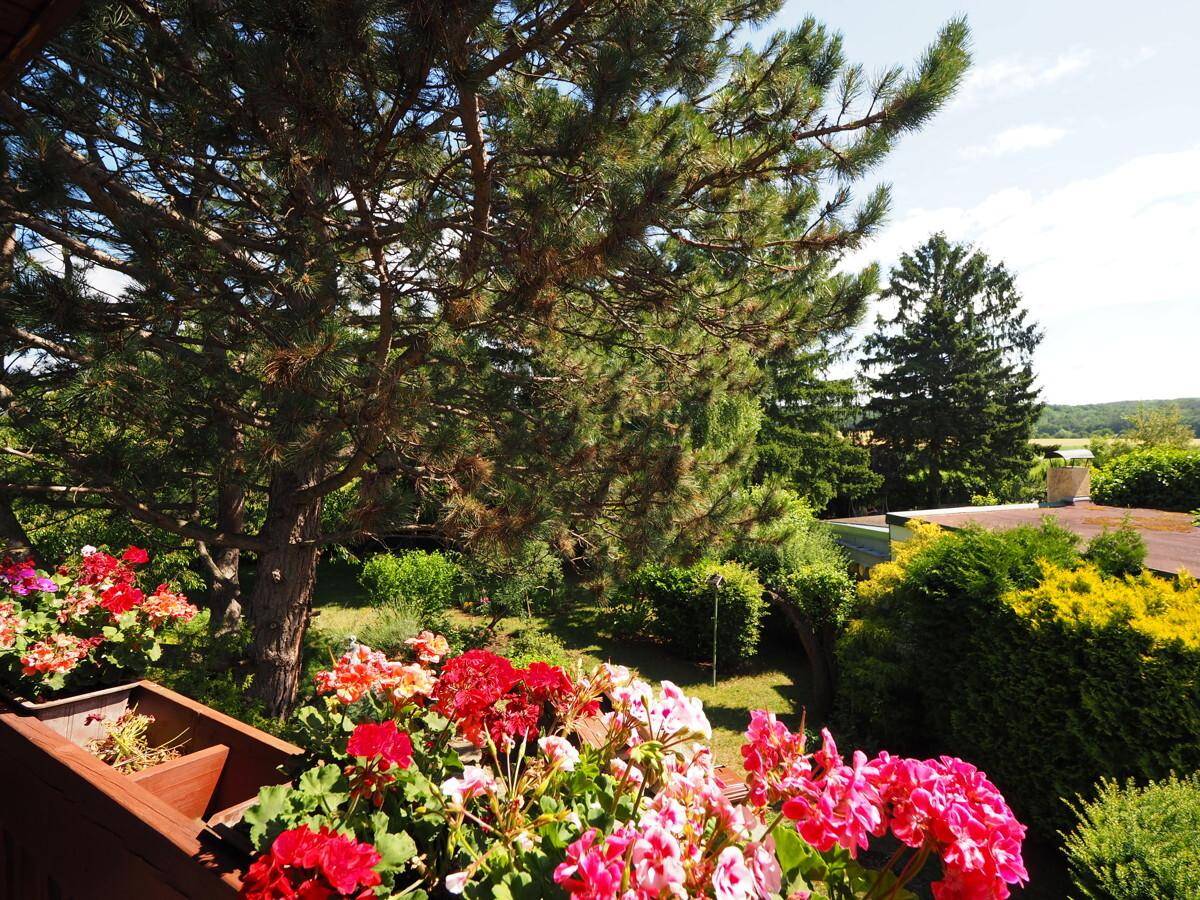 Balkon mit bunten Blumen und weitem Blick über die grüne Landschaft.