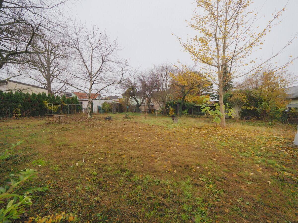 Weitläufiger Gartenbereich mit kahlen Bäumen und trockenem Gras an einem bewölkten Tag.