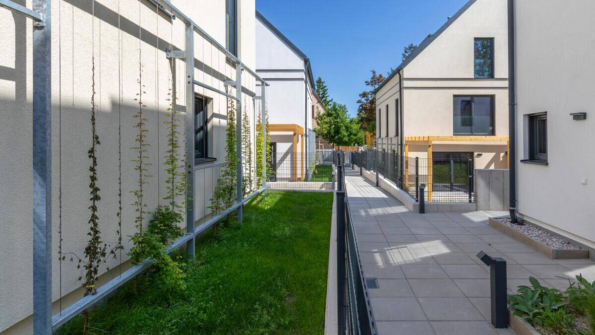 Gepflasterter Weg zwischen modernen Gebäuden mit begrünten Flächen und Rankhilfen.