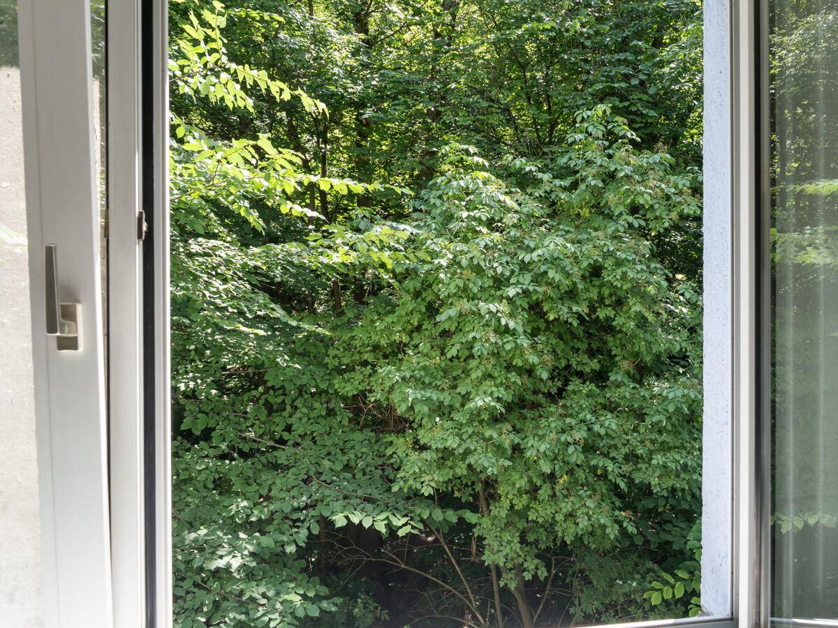 Ausblick