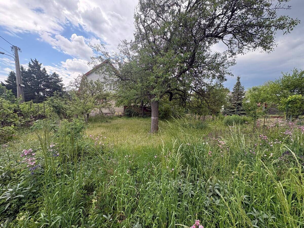 Weitläufiger Garten mit hohem Gras, Bäumen und dem Haus im Hintergrund unter bewölktem Himmel.
