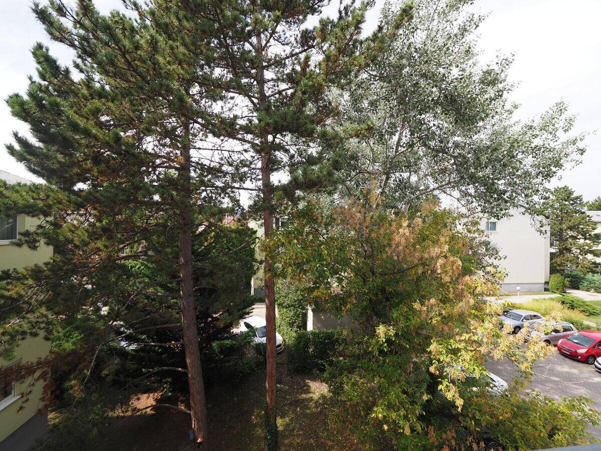 Aussicht