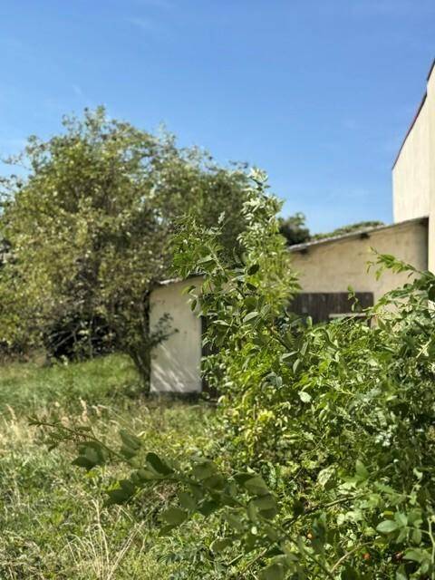 Außenansicht des Grundstücks mit einem kleinen Schuppen und üppiger Vegetation unter strahlend blauem Himmel.