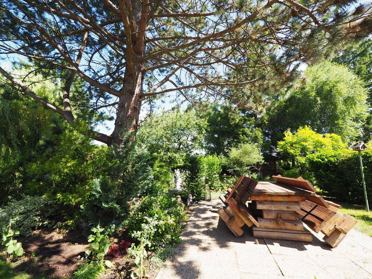 Gepflegter Gartenbereich mit altem Baum, Steinweg und Holzstapel.