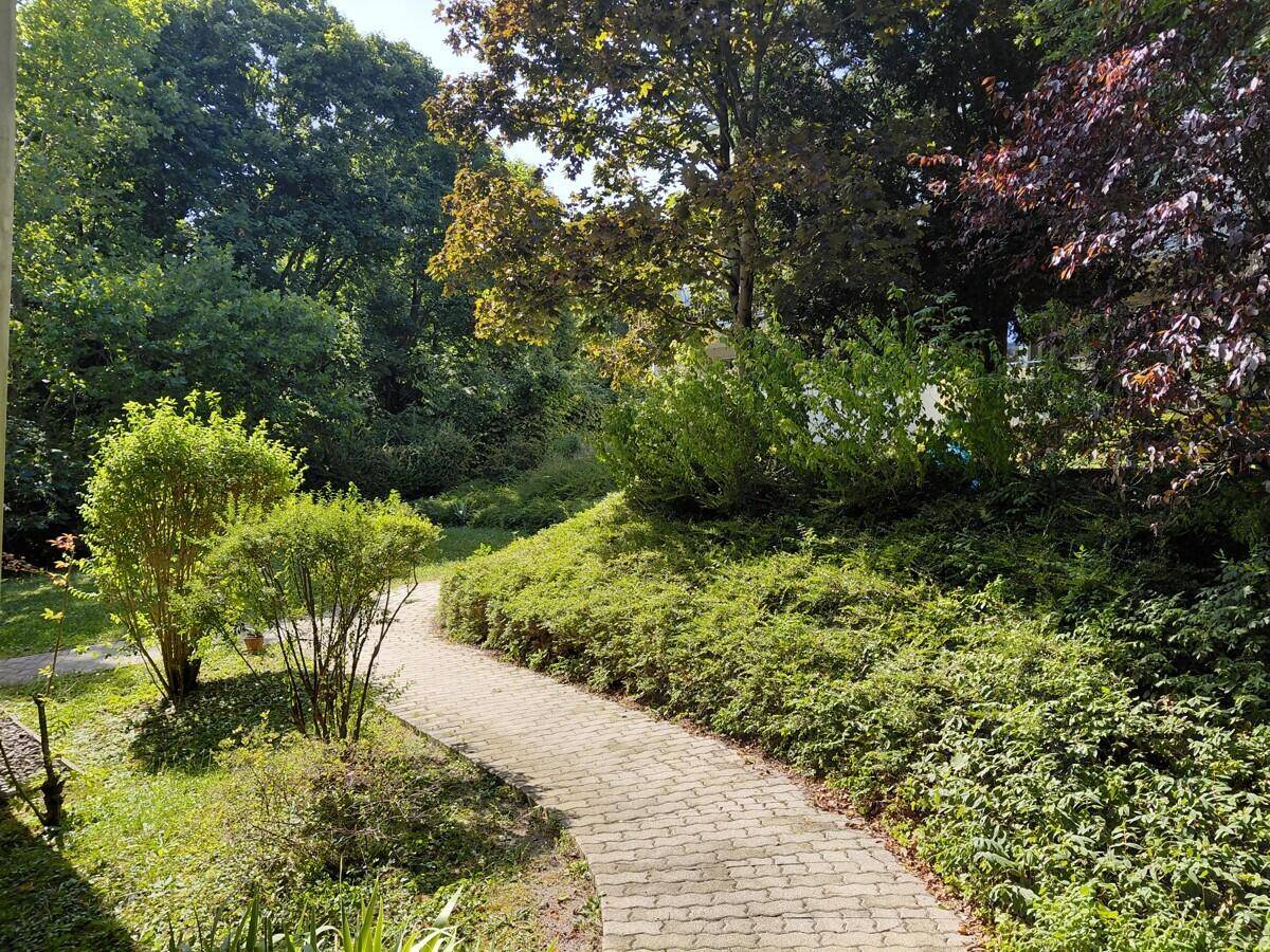 Gepflasterter Gartenweg schlängelt sich durch die grüne Anlage mit Sträuchern und Bäumen.