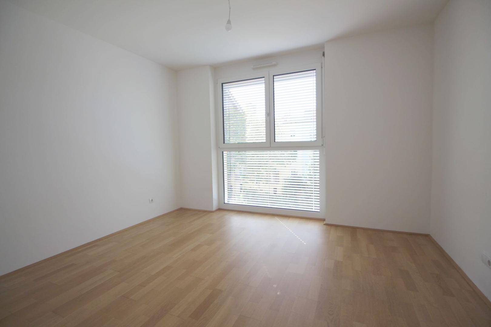 Zimmer-2