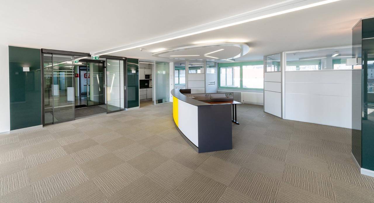 Heller Empfangsbereich mit geschwungenem Tresen, automatischen Glastüren und Teppichboden in einem modernen Büro.