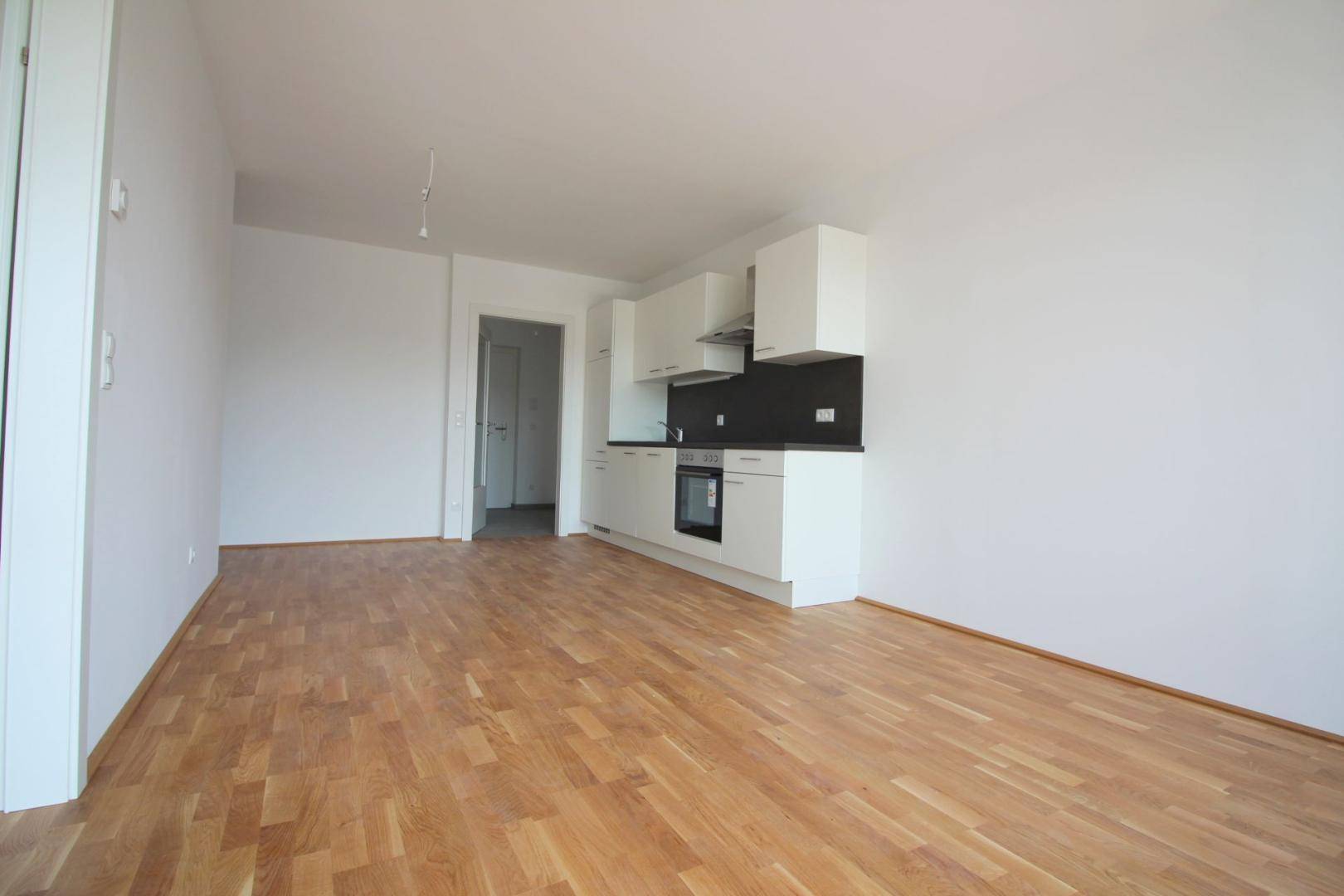 Geräumiger Wohnbereich mit integrierter Küchenzeile, Parkettboden und viel Tageslicht.