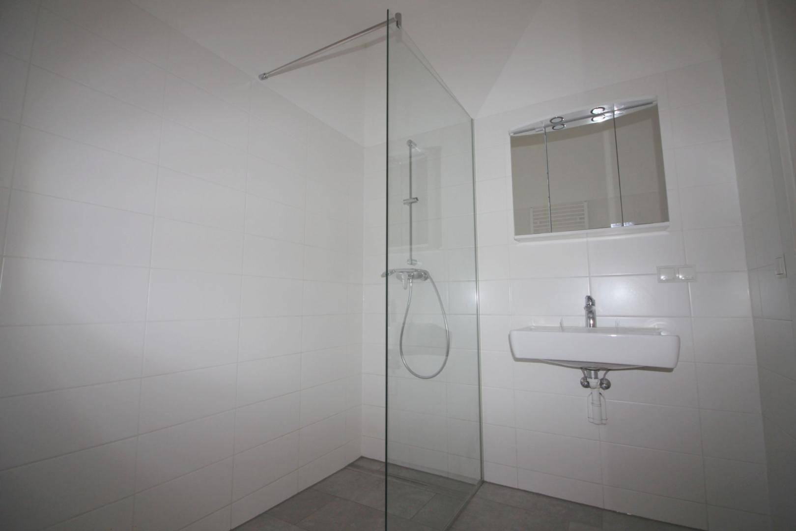 Modernes Badezimmer mit begehbarer Dusche, Waschbecken und Spiegelschrank an der Wand.