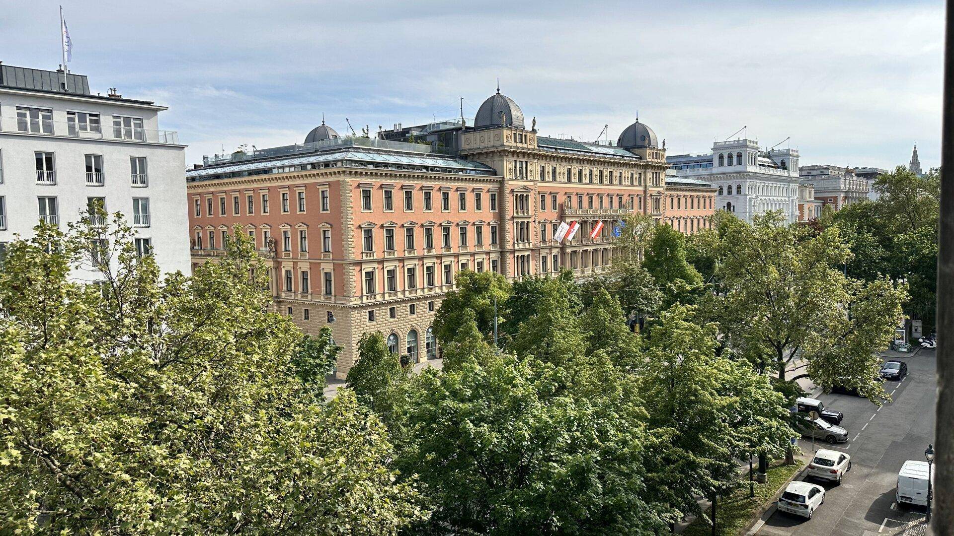 Panoramablick auf historische Stadtgebäude mit üppigen grünen Bäumen und klarem Himmel.